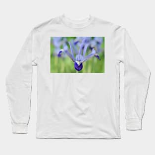 Iris  'Clairette'  Reticulata Long Sleeve T-Shirt